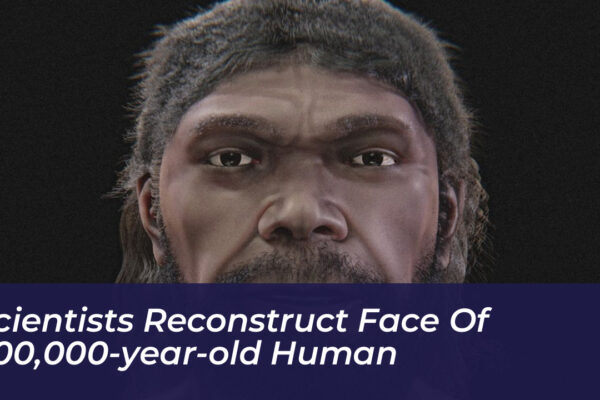 scientists reconstruct face of 300000 year old human UOcj