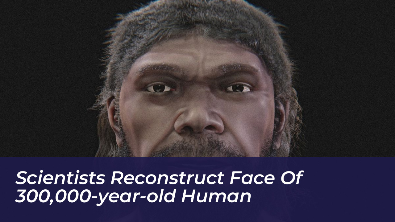 scientists reconstruct face of 300000 year old human UOcj