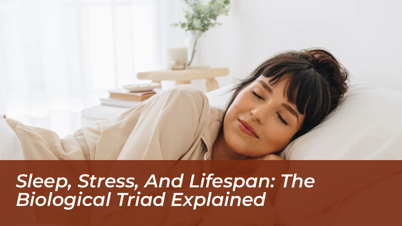 sleep stress and lifespan the biological triad explained KPlU