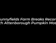sunnyfields farm breaks record with attenborough pumpkin mosaic hPD1