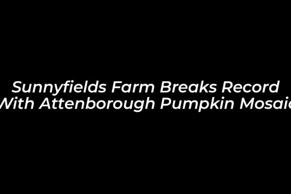 sunnyfields farm breaks record with attenborough pumpkin mosaic hPD1