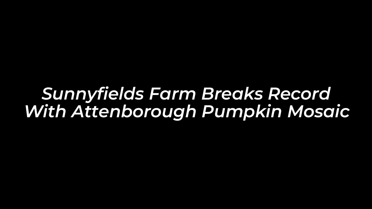 sunnyfields farm breaks record with attenborough pumpkin mosaic hPD1