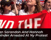 susan sarandon and hannah einbinder arrested at ny protest tQBQ