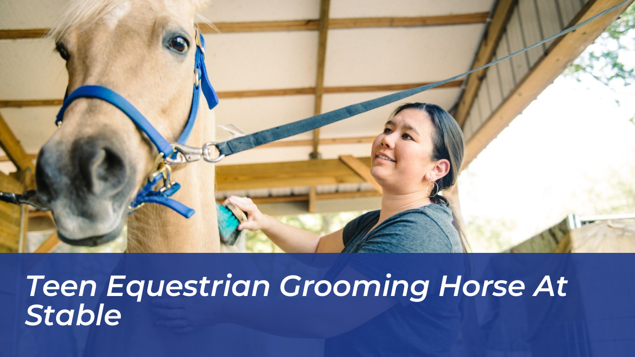 Grace Wahlberg Biography: Age, Parents, Equestrian Career & Net Worth 3 Teen Equestrian Grooming Horse at Stable