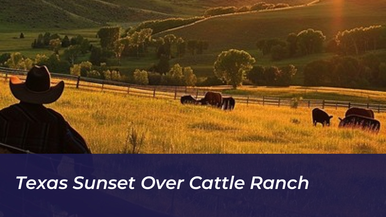 Texas Sunset Over Cattle Ranch