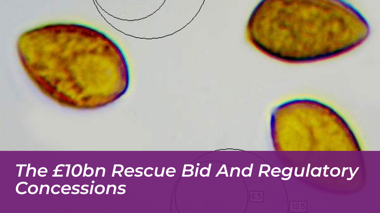 The £10bn Rescue Bid and Regulatory Concessions