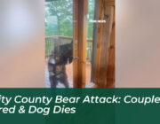 trinity county bear attack couple injured dog dies 69rM