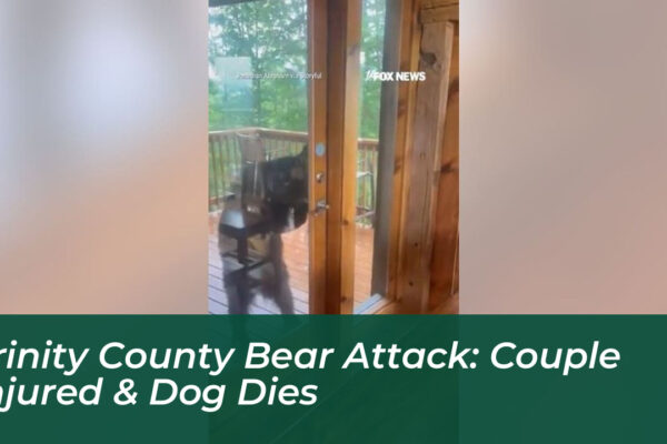 trinity county bear attack couple injured dog dies 69rM
