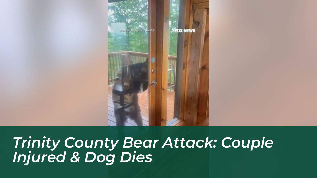 trinity county bear attack couple injured dog dies 69rM