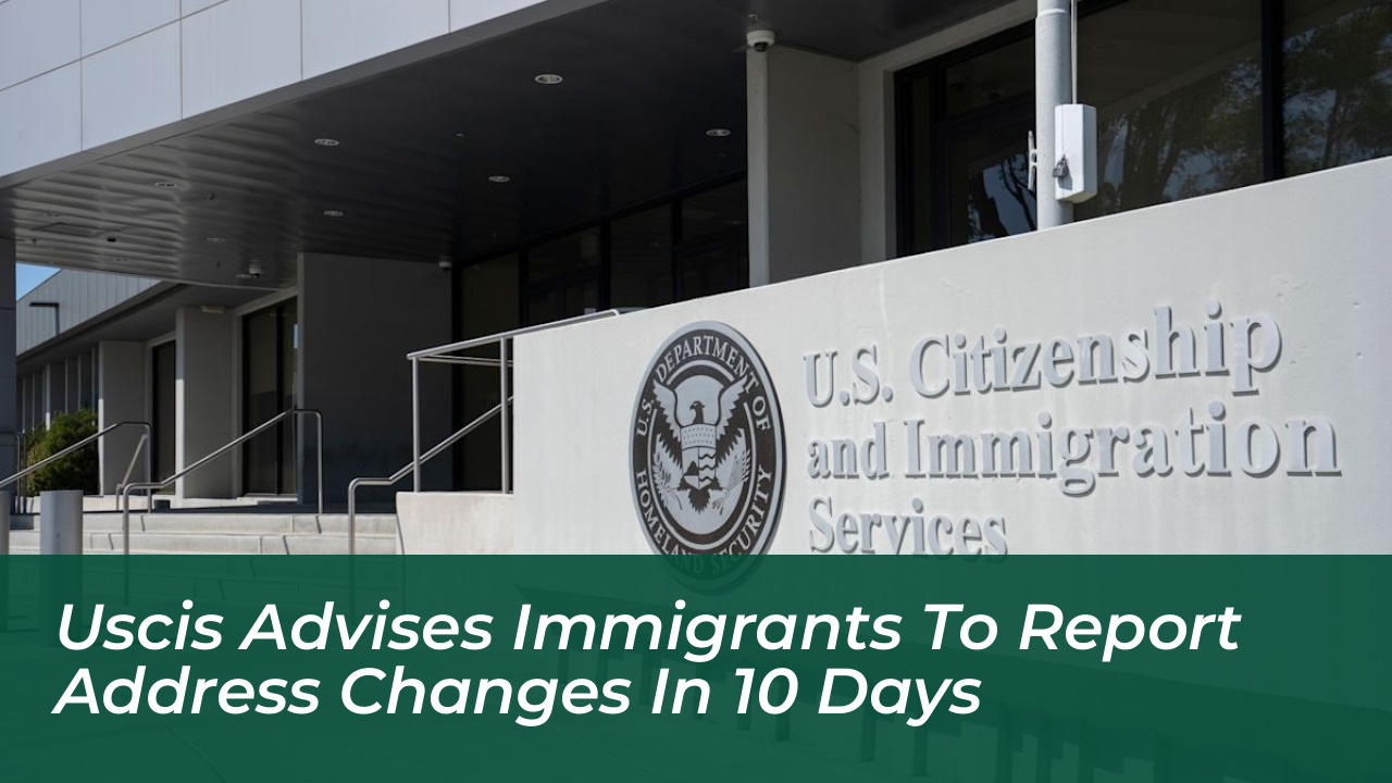 uscis advises immigrants to report address changes in 10 days zTyv