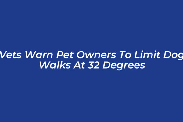 vets warn pet owners to limit dog walks at 32 degrees jrnN