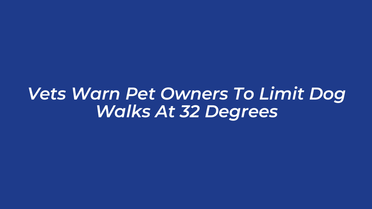 vets warn pet owners to limit dog walks at 32 degrees jrnN