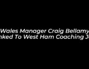 wales manager craig bellamy linked to west ham coaching job nAJX