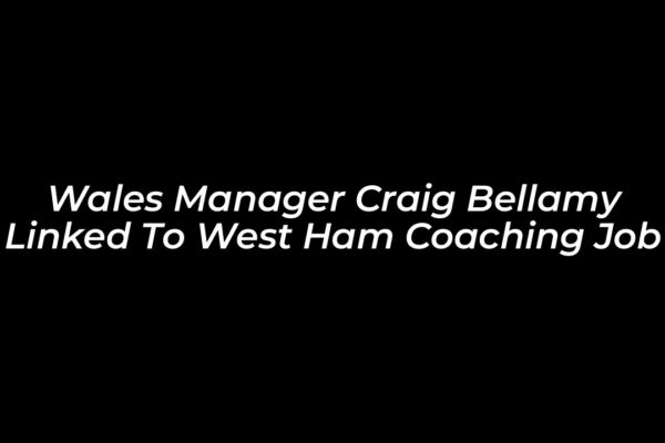 wales manager craig bellamy linked to west ham coaching job nAJX