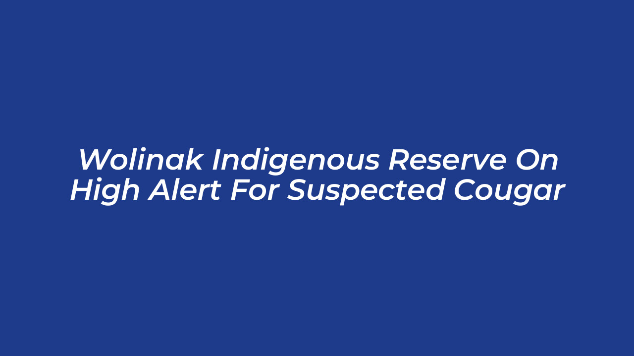 wolinak indigenous reserve on high alert for suspected cougar sPgE