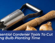 3 essential gardener tools to cut spring bulb planting time CqN1