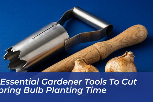 3 essential gardener tools to cut spring bulb planting time CqN1
