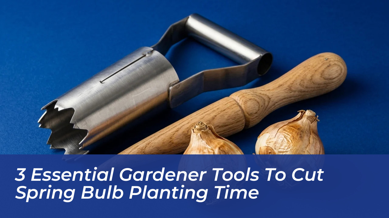 3 essential gardener tools to cut spring bulb planting time CqN1
