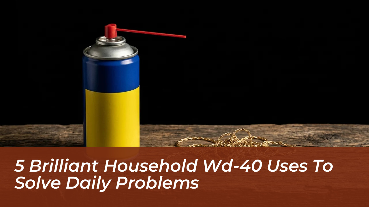 5 brilliant household wd 40 uses to solve daily problems JnuY