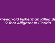 71 year old fisherman killed by 12 foot alligator in florida 6q9H