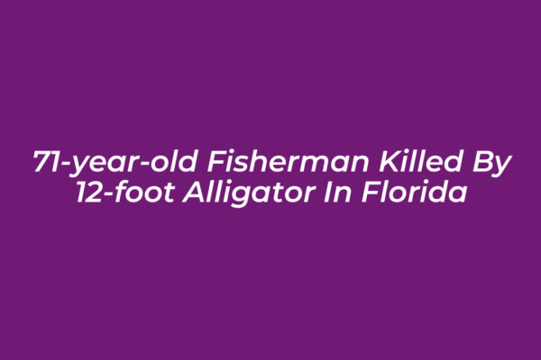 71 year old fisherman killed by 12 foot alligator in florida 6q9H