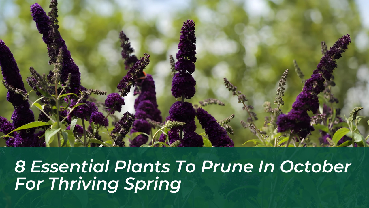 8 essential plants to prune in october for thriving spring RyW9