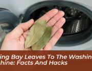 adding bay leaves to the washing machine facts and hacks 3tm6