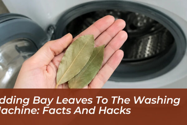 adding bay leaves to the washing machine facts and hacks 3tm6