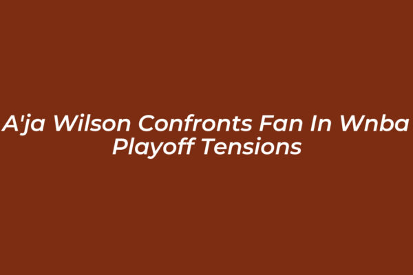 aja wilson confronts fan in wnba playoff tensions gQSu