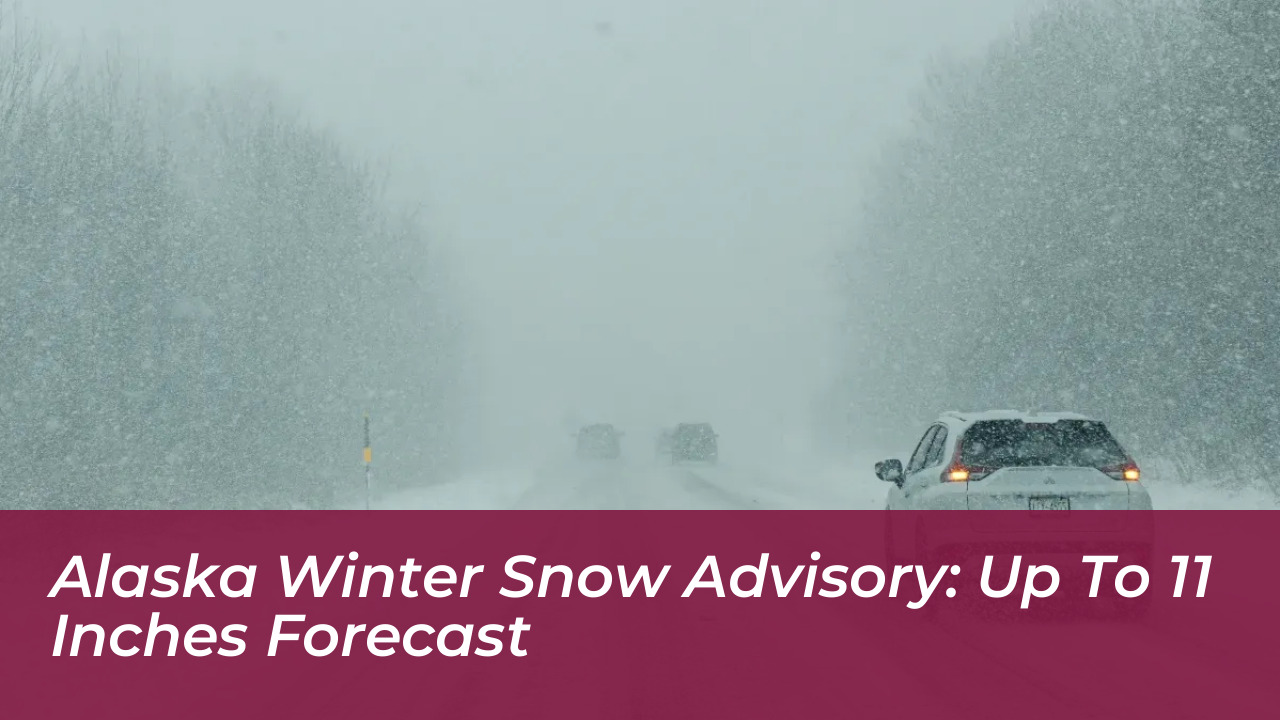 alaska winter snow advisory up to 11 inches forecast b7DS