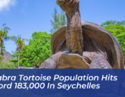 aldabra tortoise population hits record 183000 in seychelles NX5B