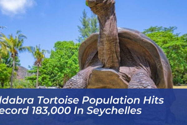 aldabra tortoise population hits record 183000 in seychelles NX5B