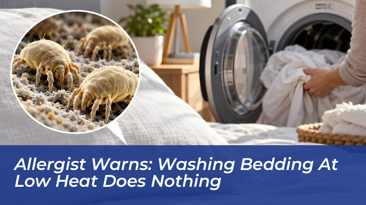 allergist warns washing bedding at low heat does nothing AC99