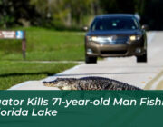 alligator kills 71 year old man fishing in florida lake r7ni