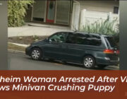 anaheim woman arrested after video shows minivan crushing puppy edBy