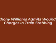 anthony williams admits wounding charges in train stabbing 5OJb