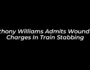 anthony williams admits wounding charges in train stabbing xNif