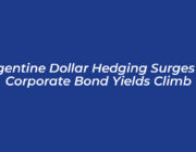 argentine dollar hedging surges as corporate bond yields climb bcZC