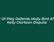 art of play defends molly bird after kelly clarkson dispute n9zQ