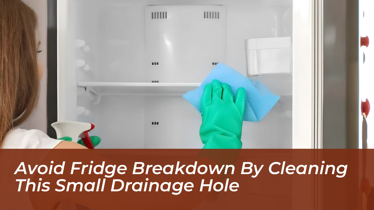 avoid fridge breakdown by cleaning this small drainage hole wX1X