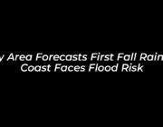 bay area forecasts first fall rain as coast faces flood risk 9yeY