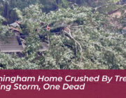 birmingham home crushed by tree during storm one dead Oas3