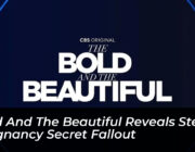 bold and the beautiful reveals steffy pregnancy secret fallout OEZJ
