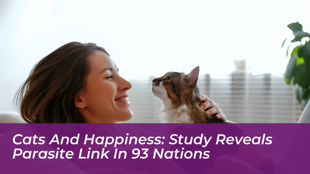 cats and happiness study reveals parasite link in 93 nations tMF8