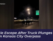 cattle escape after truck plunges from kansas city overpass nBDc