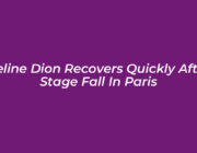 celine dion recovers quickly after stage fall in paris FYn0