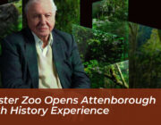 chester zoo opens attenborough earth history experience eYgf