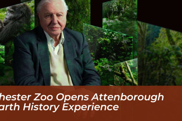 chester zoo opens attenborough earth history experience eYgf