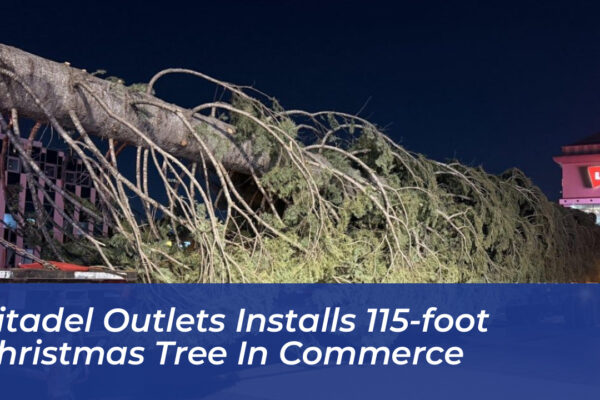 citadel outlets installs 115 foot christmas tree in commerce i2Lj