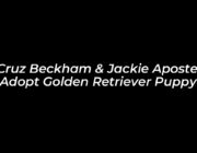 cruz beckham jackie apostel adopt golden retriever puppy 2pxR